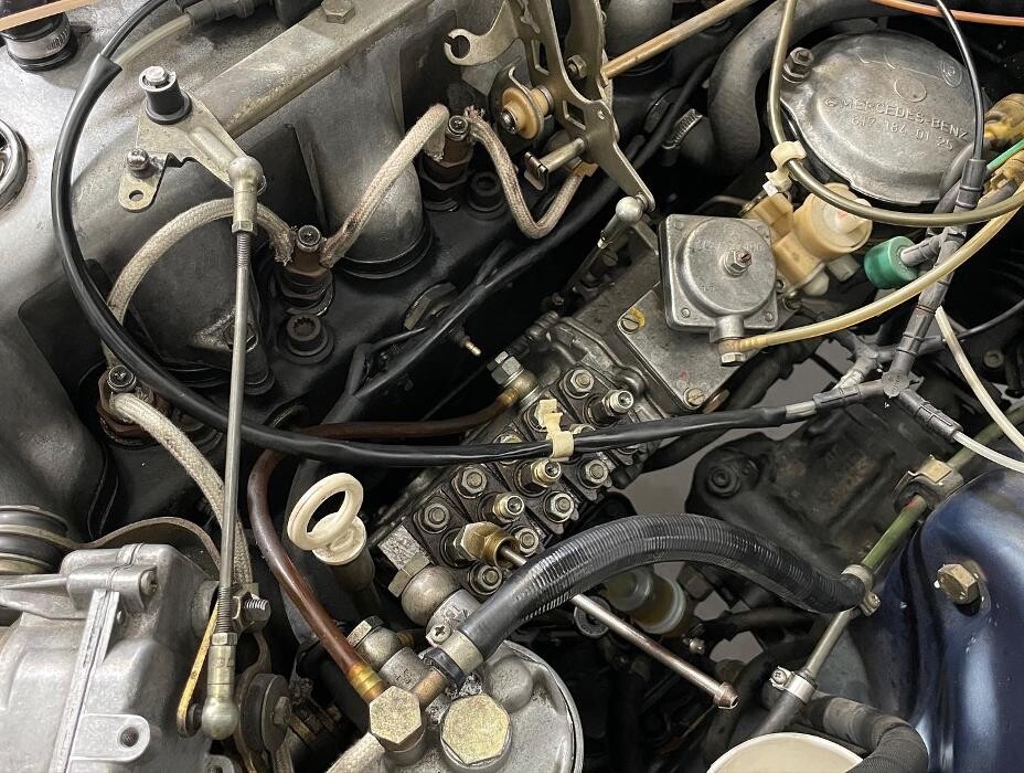 Images European Starr - Mercedes-Benz Specialists