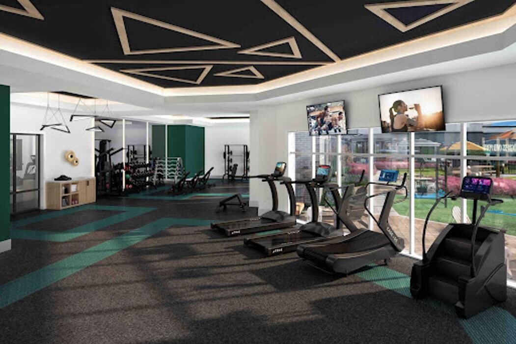 Images Monarch Gainesville