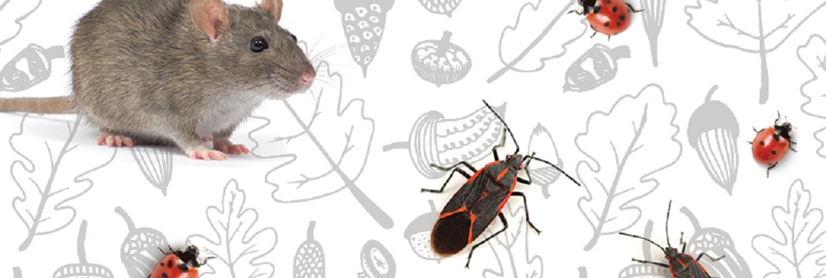 Images Western Pest Services