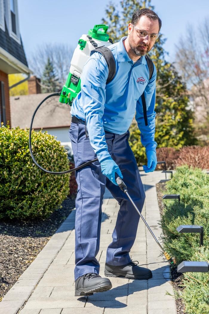 Images OPC Pest Services - Louisville