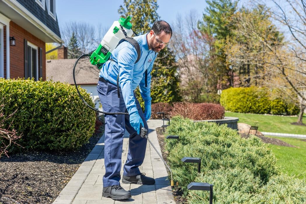 Images OPC Pest Services - Louisville