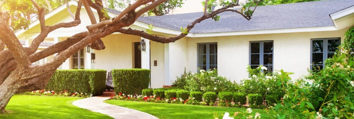 Images OPC Pest Services