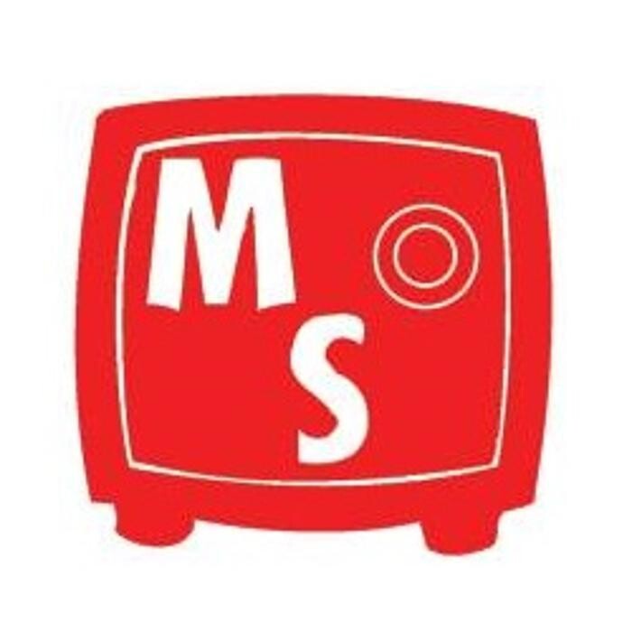 Mini Safe Storage Logo