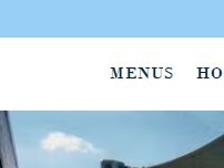 Website Screenshot The Finch