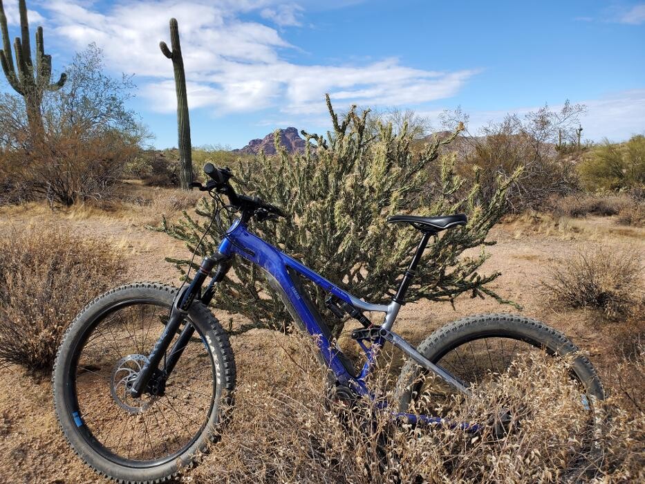 Images Archer's Bikes Mesa