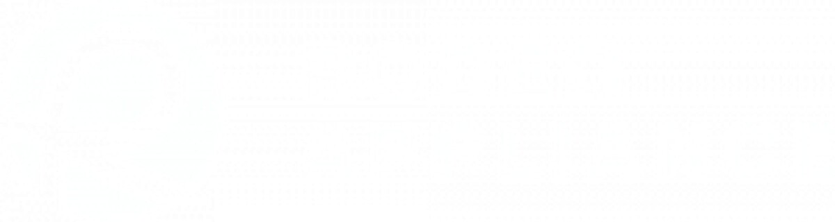 Rodeo Appliance Logo