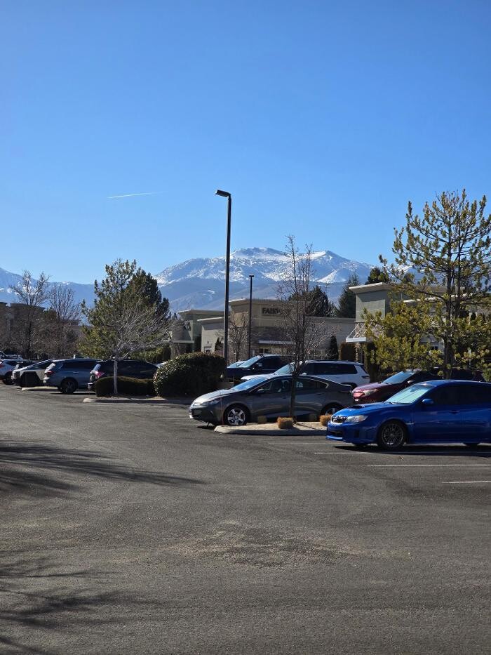 Images Yolanda Foster