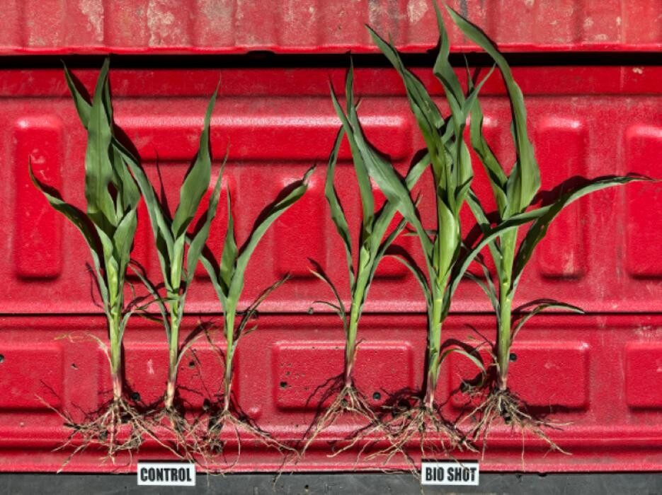 Images Ag BioTech, Inc. - Biostimulants