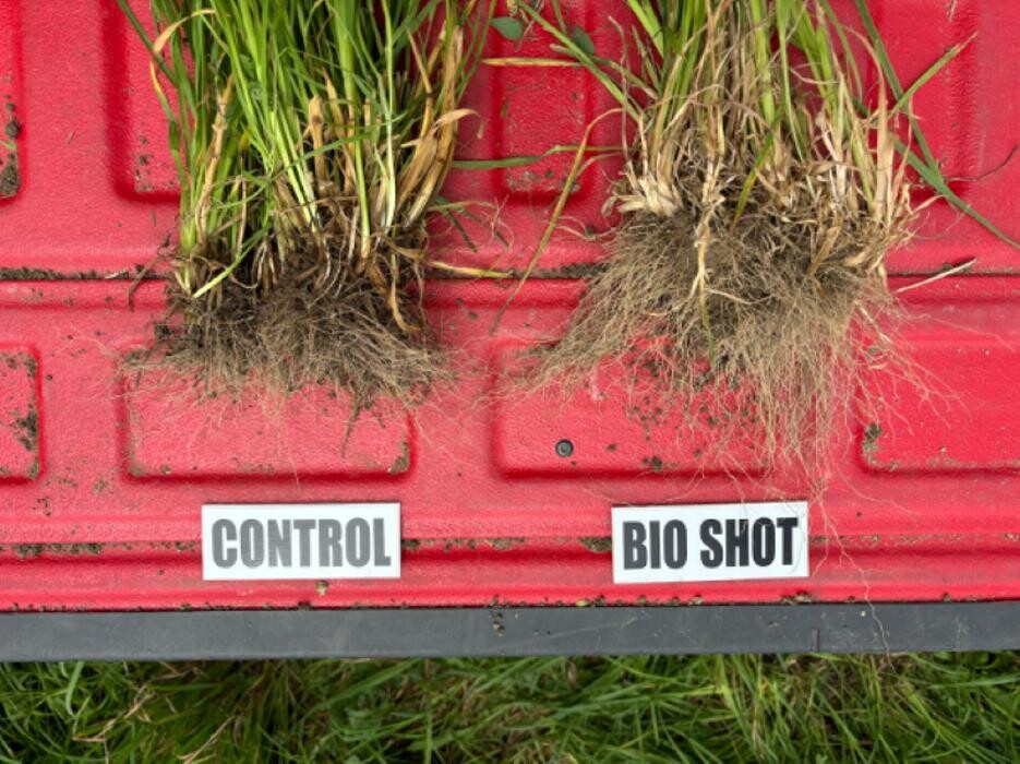 Images Ag BioTech, Inc. - Biostimulants
