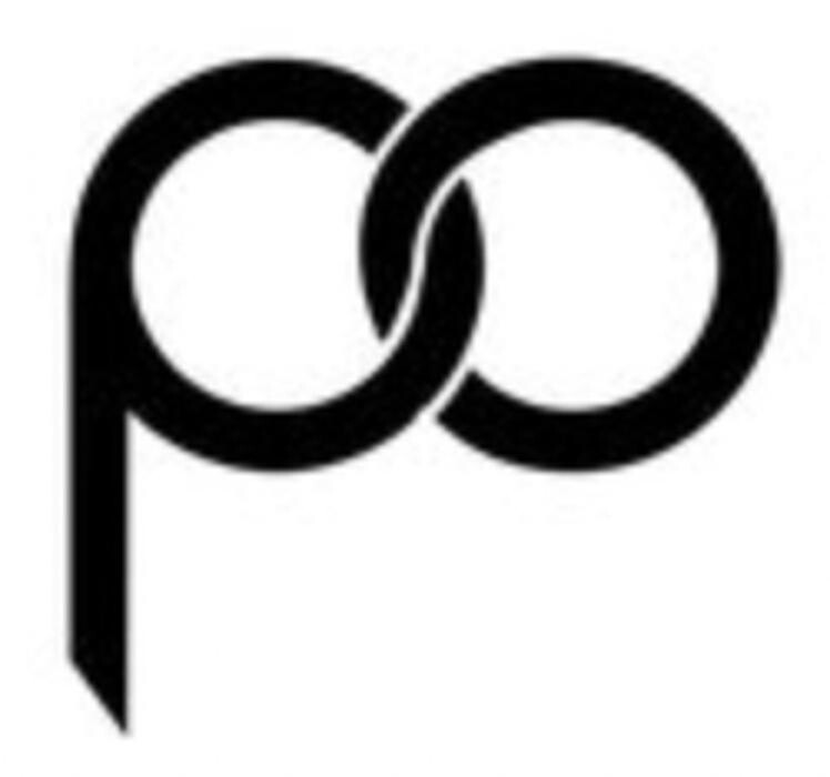 Playing Outdoors LLC Logo