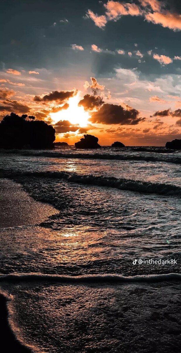 Images Frank A. Petillo Jr. Foundation