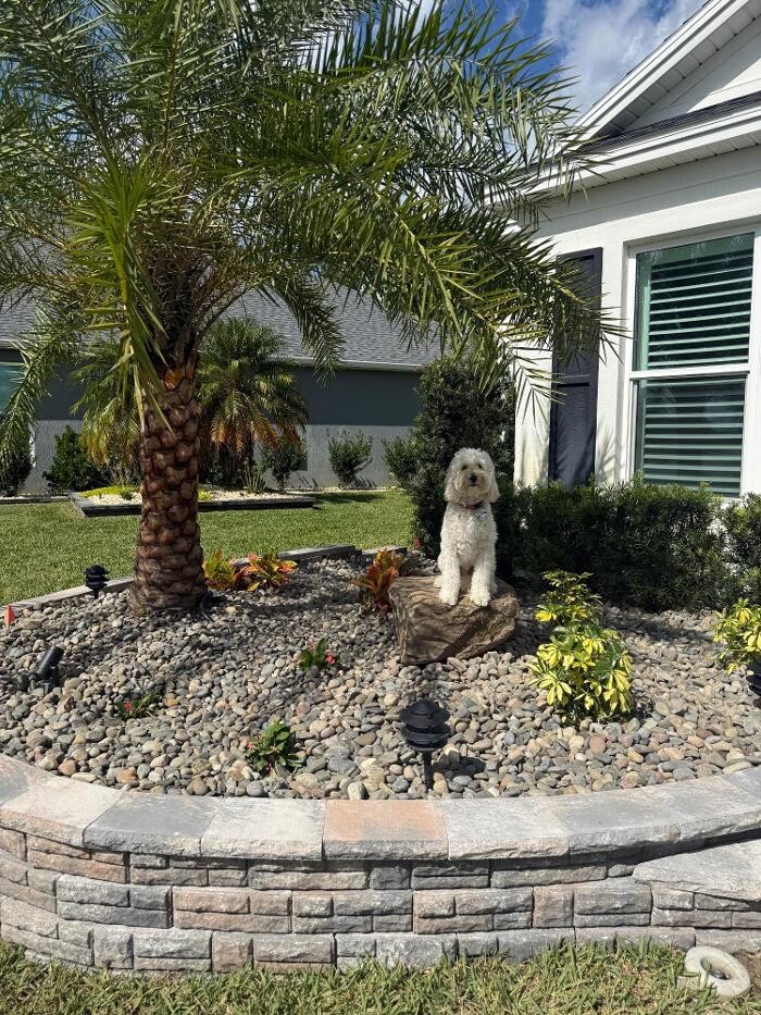Images Village Palms Landscaping