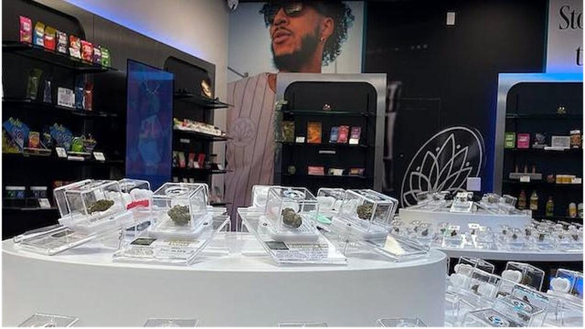 Images VICE Cannabis Dispensary