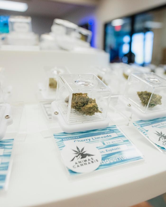 Images VICE Cannabis Dispensary