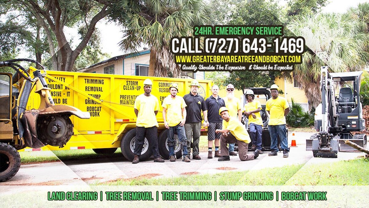 Images Greater Bay Area Tree & Arborist Services