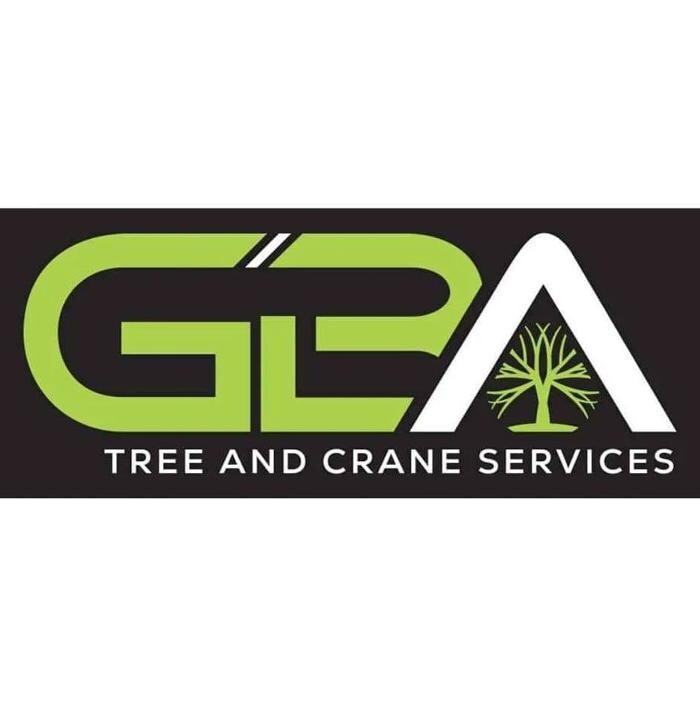Images Greater Bay Area Tree & Arborist Services