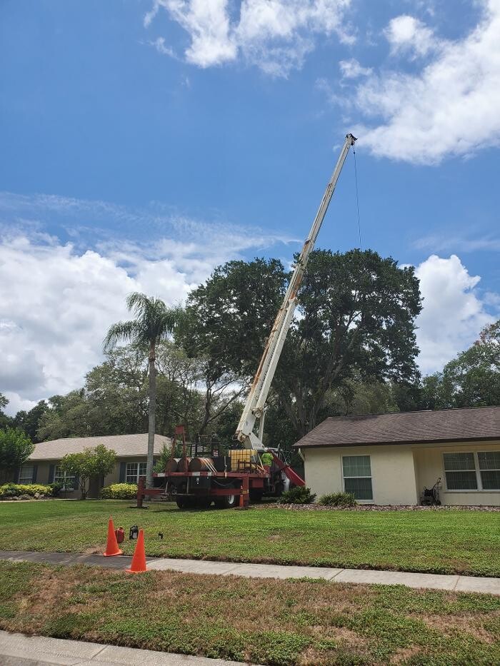 Images Greater Bay Area Tree & Arborist Services