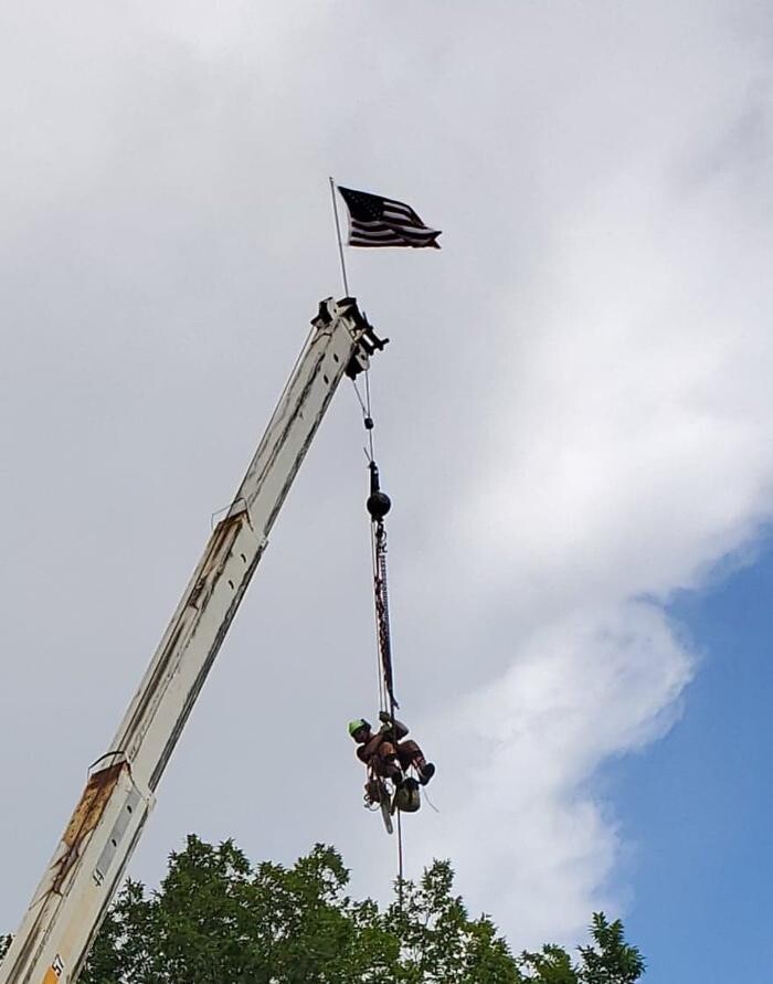 Images Greater Bay Area Tree & Arborist Services