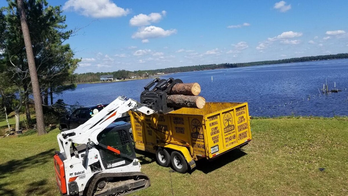 Images Greater Bay Area Tree & Arborist Services