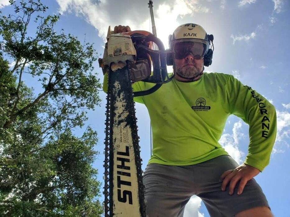 Images Greater Bay Area Tree & Arborist Services