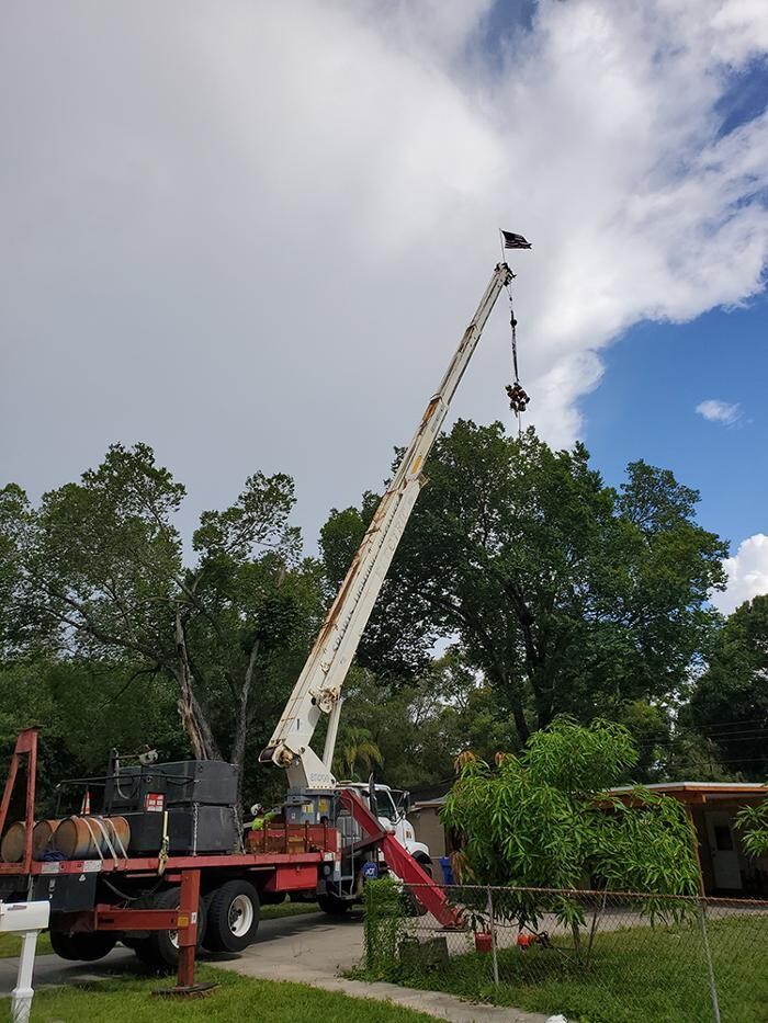 Images Greater Bay Area Tree & Arborist Services