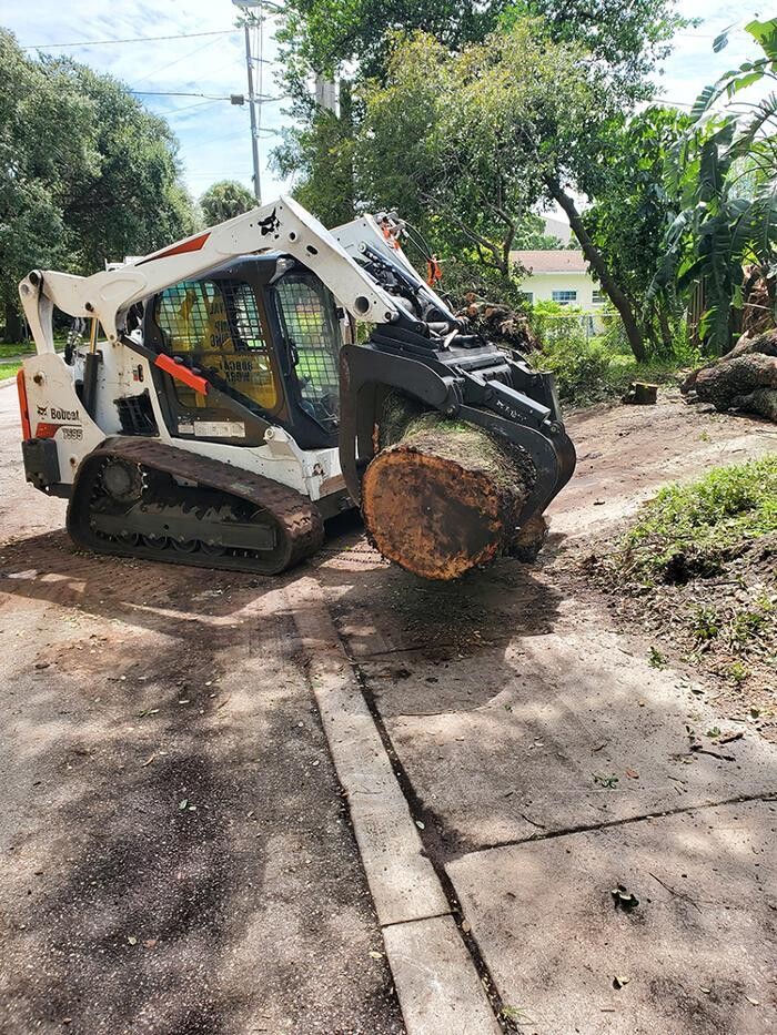 Images Greater Bay Area Tree & Arborist Services