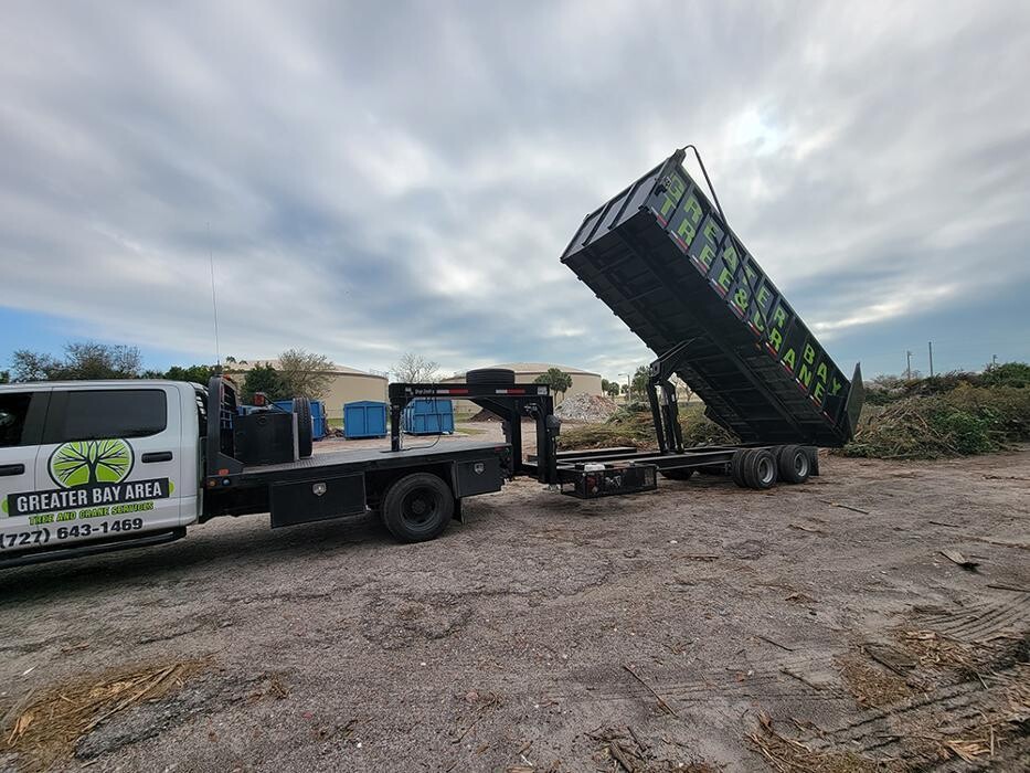 Images Greater Bay Area Tree & Arborist Services