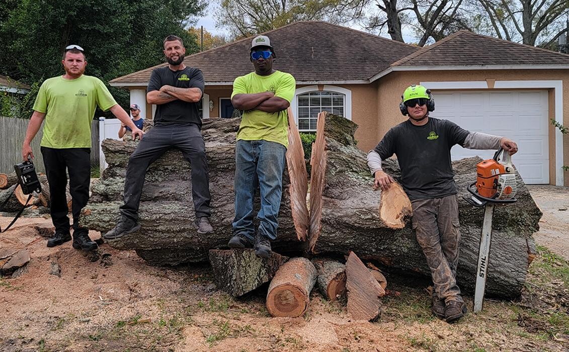 Images Greater Bay Area Tree & Arborist Services