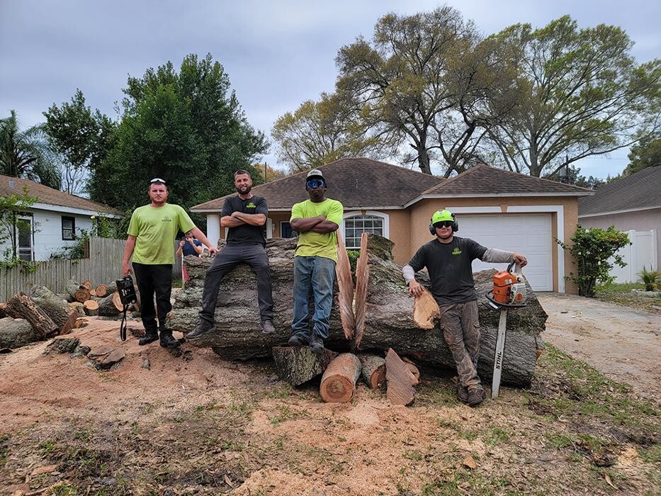 Images Greater Bay Area Tree & Arborist Services