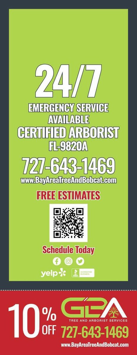 Images Greater Bay Area Tree & Arborist Services