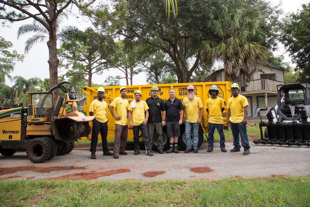 Images Greater Bay Area Tree & Arborist Services