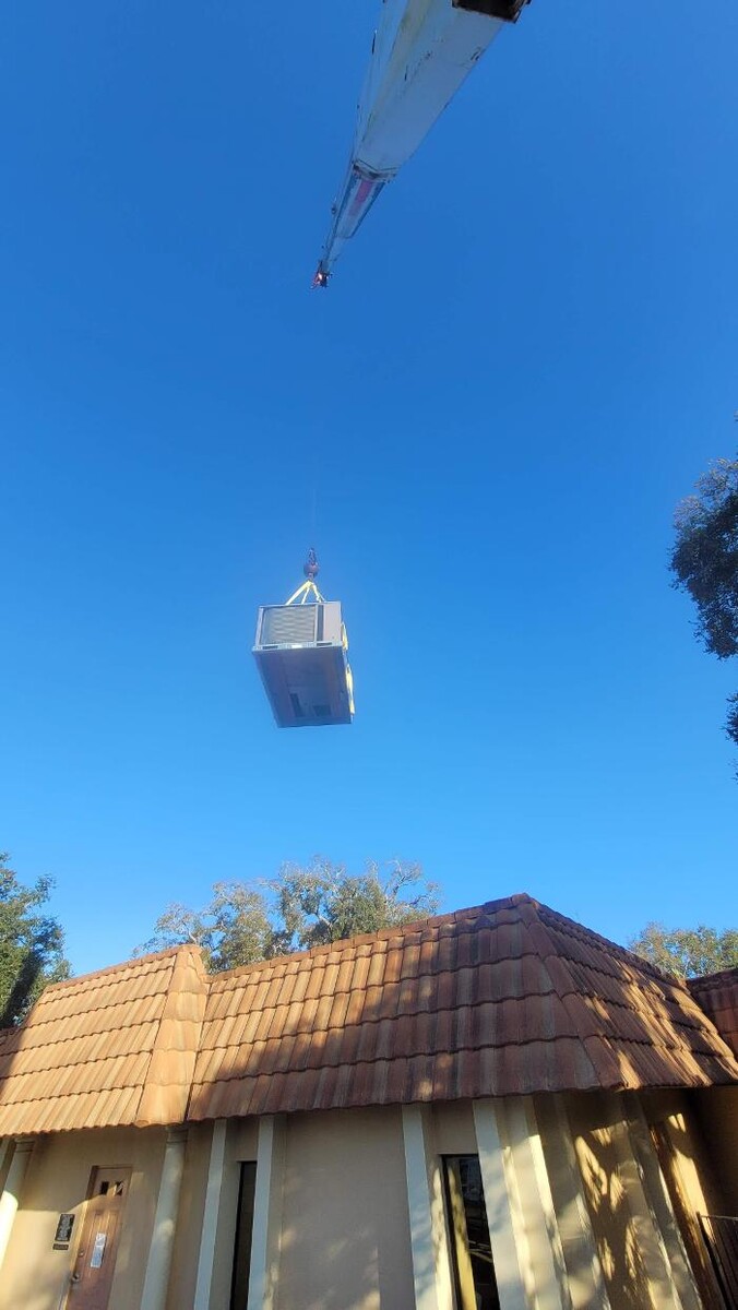 Images Greater Bay Area Tree & Arborist Services