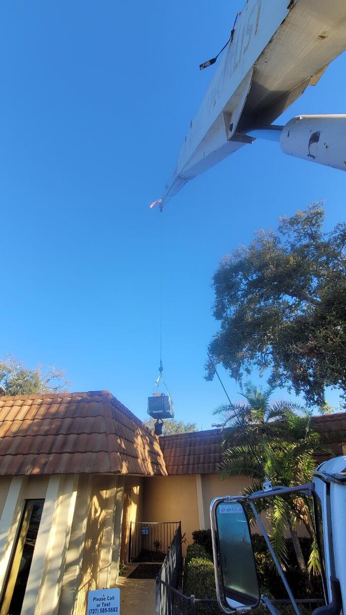 Images Greater Bay Area Tree & Arborist Services