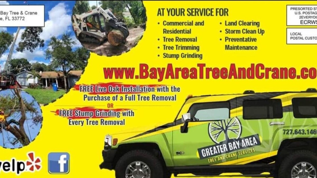 Images Greater Bay Area Tree & Arborist Services