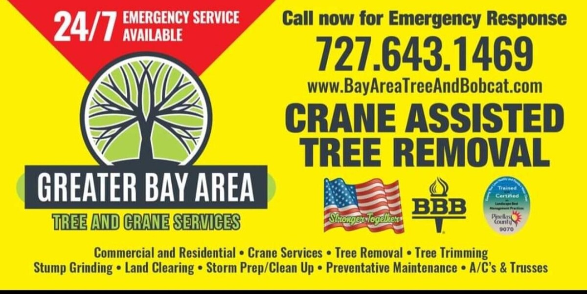 Images Greater Bay Area Tree & Arborist Services