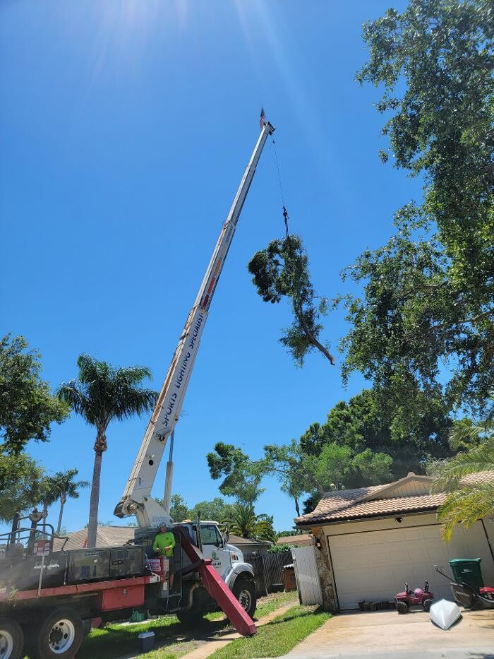 Images Greater Bay Area Tree & Arborist Services
