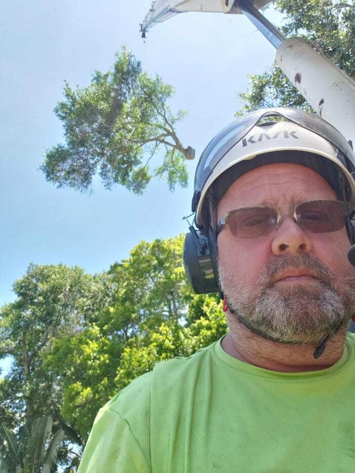 Images Greater Bay Area Tree & Arborist Services