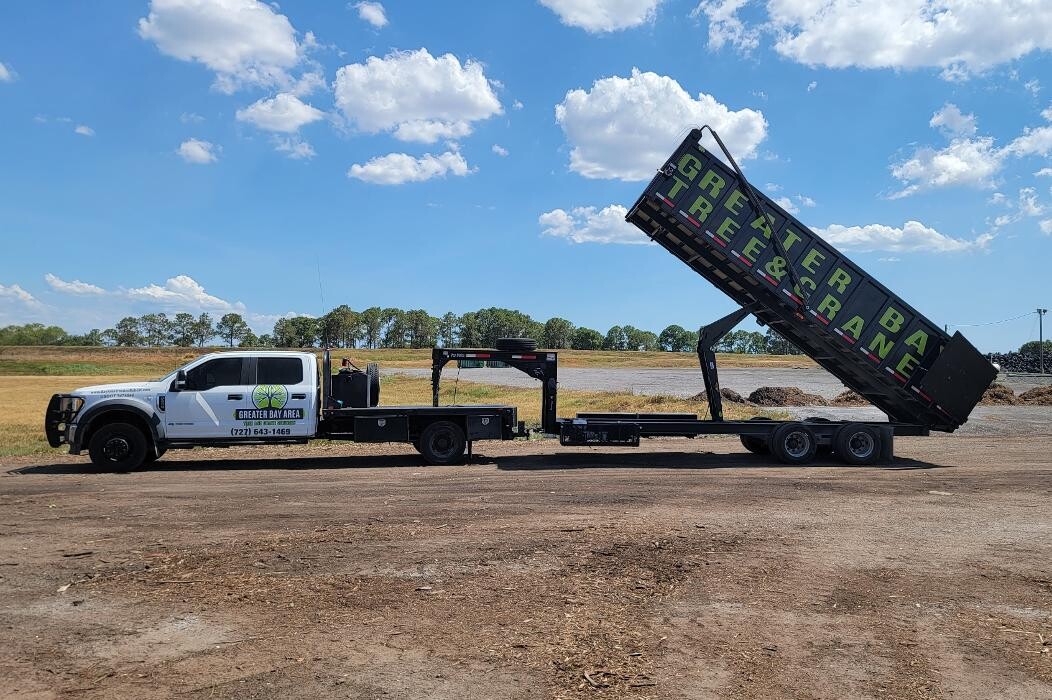 Images Greater Bay Area Tree & Arborist Services