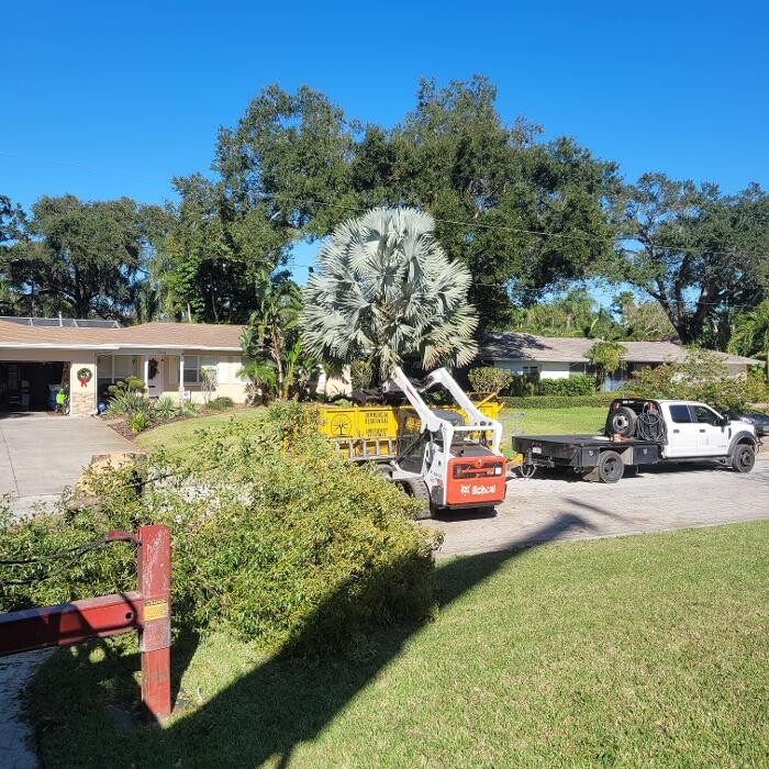 Images Greater Bay Area Tree & Arborist Services