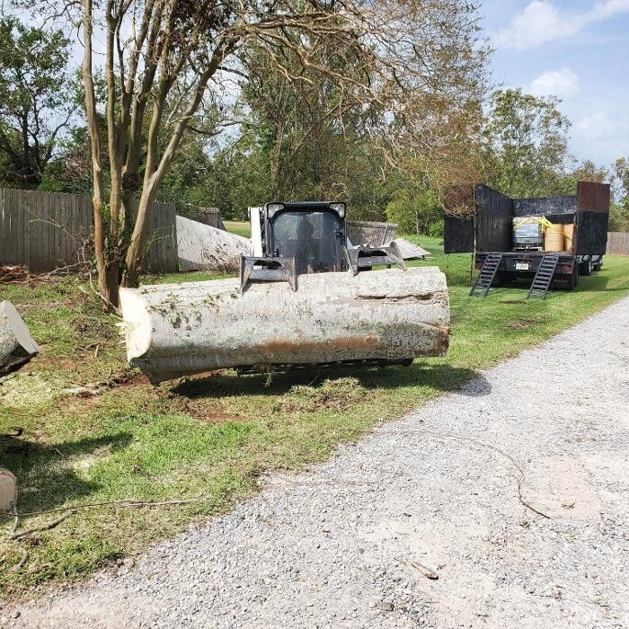 Images Greater Bay Area Tree & Arborist Services