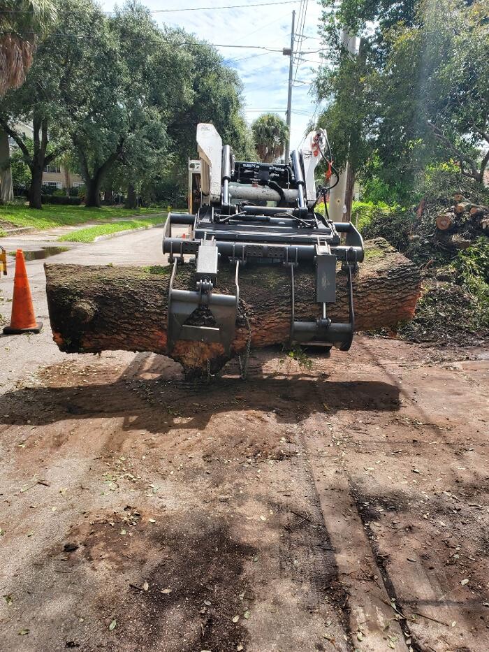 Images Greater Bay Area Tree & Arborist Services