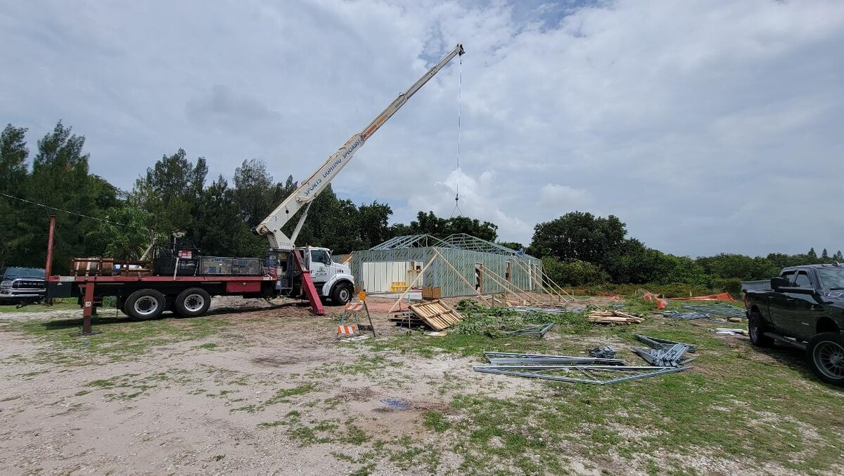 Images Greater Bay Area Tree & Arborist Services