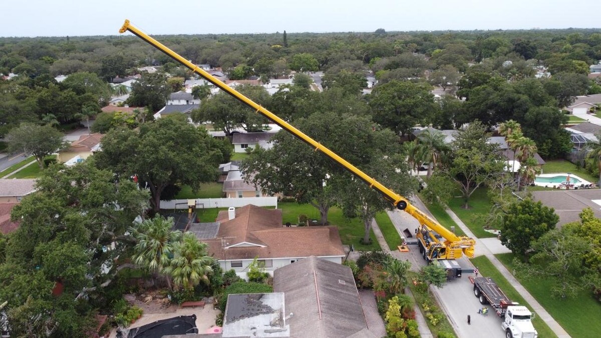 Images Greater Bay Area Tree & Arborist Services