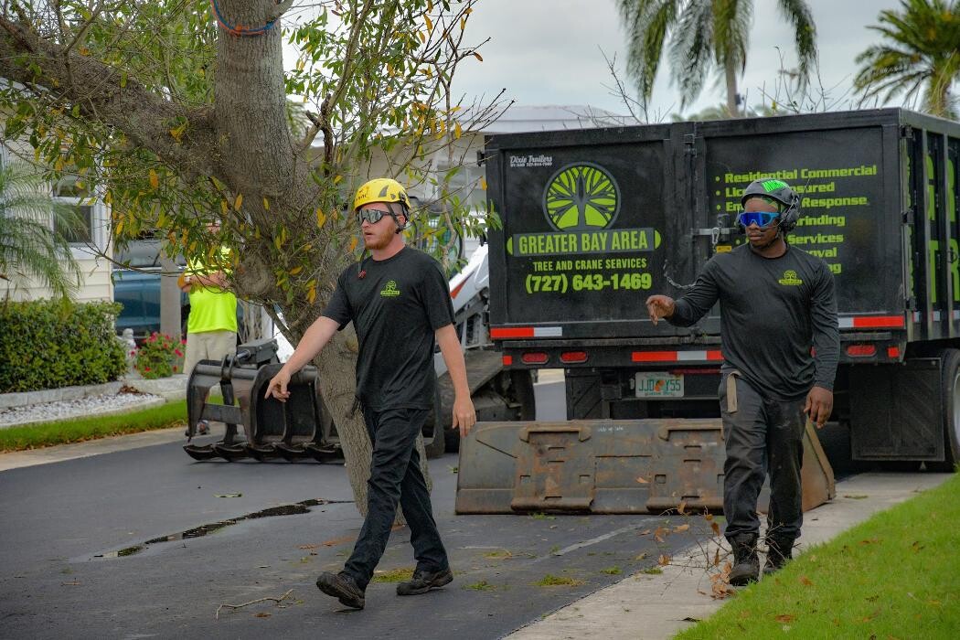 Images Greater Bay Area Tree & Arborist Services