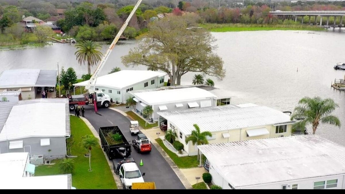 Images Greater Bay Area Tree & Arborist Services