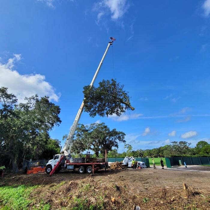 Images Greater Bay Area Tree & Arborist Services