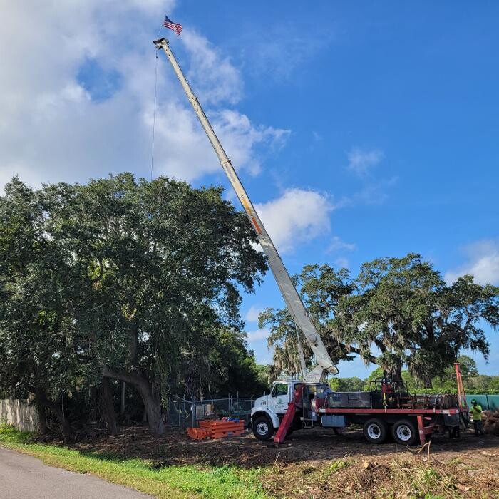 Images Greater Bay Area Tree & Arborist Services