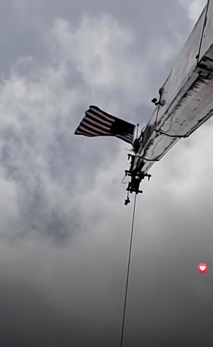 Images Greater Bay Area Tree & Arborist Services