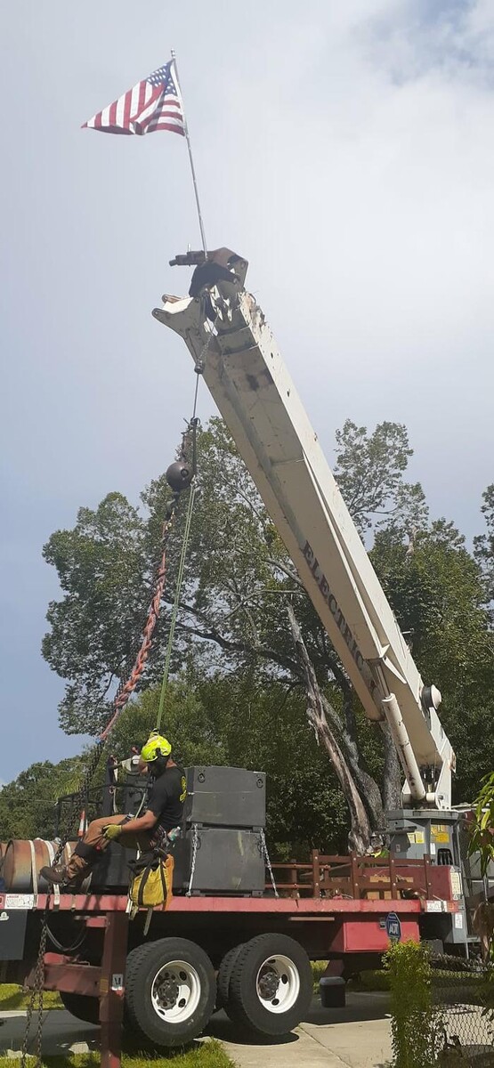 Images Greater Bay Area Tree & Arborist Services