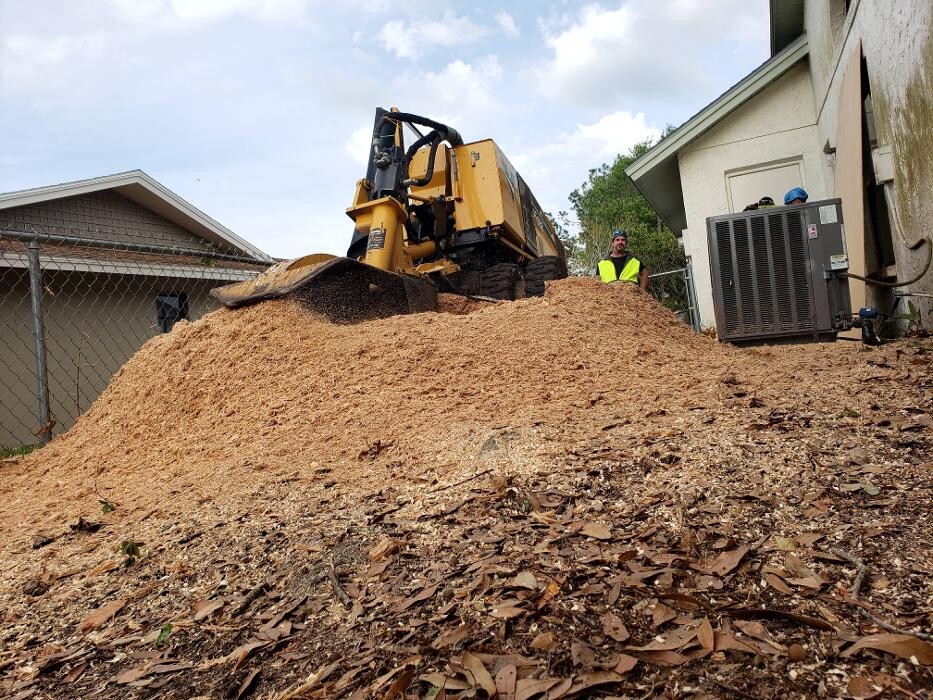 Images Greater Bay Area Tree & Arborist Services